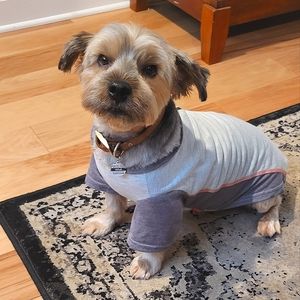 Reddy Pet Cooling Dog Shirt M
